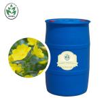 Cas 65546-85-2 Massage Essential OIls Evening Primrose Oil Rheumatoid Arthritis
