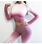 Ombre Seamless Women's Yoga Apparel / Women Gym Clothing Gradient Leggings+Long