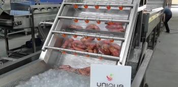 Zibo Unique Machinery Technology Co., Ltd.