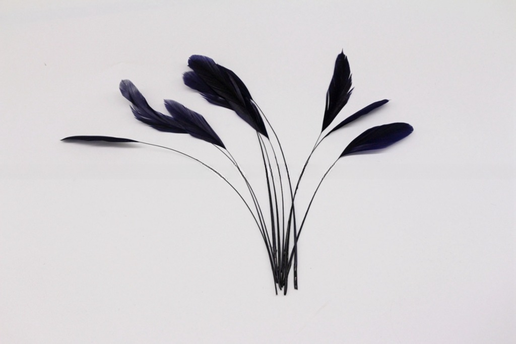 Stripped Rooster Coque Feather in Dyed Pattern for Chicken Feather Benefit