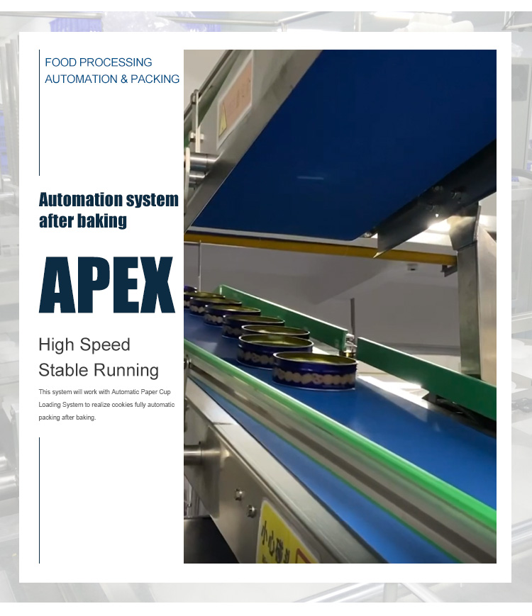 Customized Stable Running Automatic Tin Loading System Cookie Food Canning Machine Biscuit Packing Line