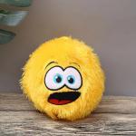 100g-600g Plush Hanging Balls Emoticons 's Professional Production