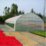 Single Span PE Film Greenhouse TUV Low Cost Poly Tunnel Greenhouse