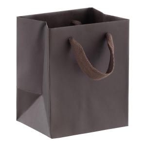 Quality Reusable Matte Varnishing Kraft Shopping Bags With Fabric Handle wholesale