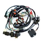 East Asia Market 4-Pin Plastic Wiring Harness with 1.0mm Pitch High Durability