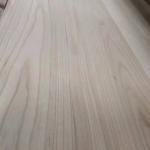 Environmentally Friendly Paulownia Solid Wood Board Panel Lumber for Modern