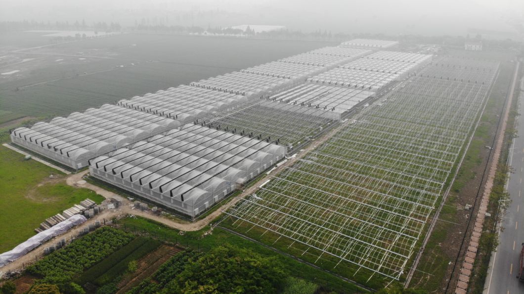 Turnkey Intelligent Glass/Polycarbnate Board Coverig Vertical Farming Greenhouse