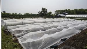 Quality #2021 new material UV anti Insect Net wholesale
