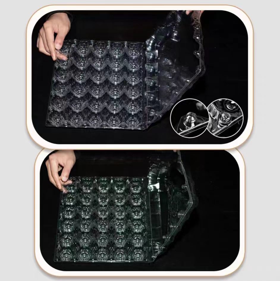 Customized PET Transparent Egg Tray Plastic Packaging Reusable With Cover