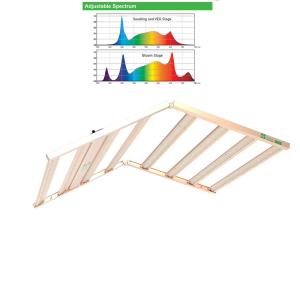 Quality Energy Efficient Indoor Led Grow Light 1000W For Marijuana wholesale