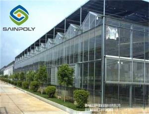 Quality Plastic Film Commercial Glass Greenhouse For Strawberry Tomato Lettuce wholesale