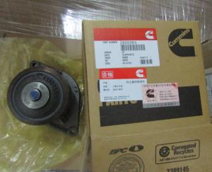 Quality Cummins ISDE water pump 3800984 wholesale