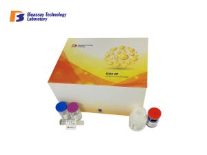 Quality High Precision Human Deoxypyridinoline Crosslinks DPD ELISA Kit 96 Wells wholesale