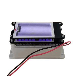 Quality 10g Ceramic Ozone Generator Accessories Corona Discharge For Hotel / Garage wholesale