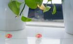 High Density 2mm Clear PS Plate Extruded Polystyrene PS HIPS Sheet