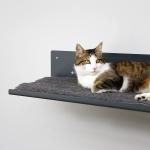 Black Powder Coated Indoor Cat Wall Perch Furniture 20x20cm Steel Cat Ladder