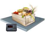 5000Kg Stainless Steel Floor Scales