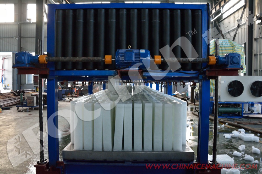 Heavy Duty 30 Ton/Day Direct Cooling Block Ice Making Machine with Bitzer Compressor