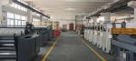 Chrome Paper Flexo Printing Machine