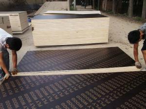 Quality Renew core 18mm black or brown film faced plywood wholesale