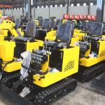 Hydraulic Micro 1.7 T Excavator Small Household Excavator SGS
