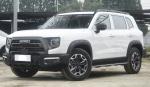 Chinese Pastoral Dog Version Haval Vehicle Haval Dargo 2022 2.0T DCT 4WD 5 Door