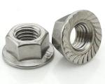 M12x25 DIN6923 Heavy Hex Nuts Hex Serrated Flange Nut Stainless Steel Bolt Pine
