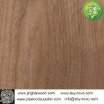 Wanult,Ash,Okoume natural veneer