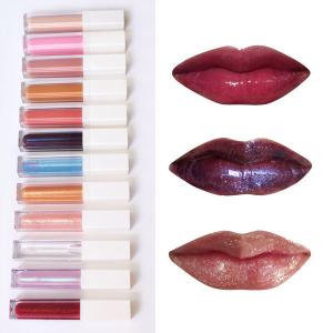 Quality Easy Coloring Natural Logo Mineral Makeup Lip Gloss wholesale