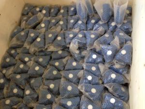 Quality ANSI y strainer threaded ends wholesale