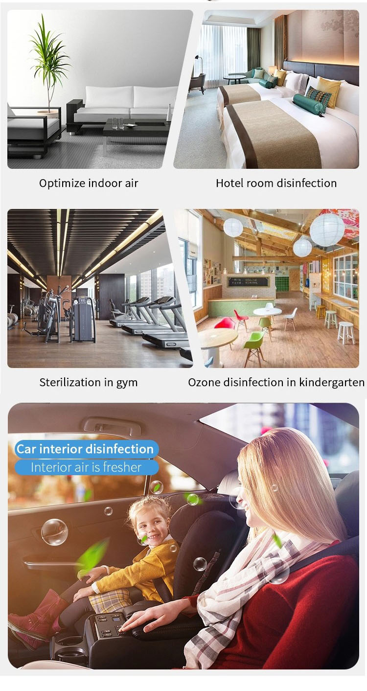 HOMEFISH OEM Portable Home Use Commercial Professional Use Digital Best Ozonator Air Purifier Cleaner Purificador De Aire Ozono