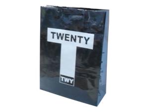 Quality Shining Coated Twenty 210g Artpaper / Paper Carry Bag For Shopping Packaging wholesale