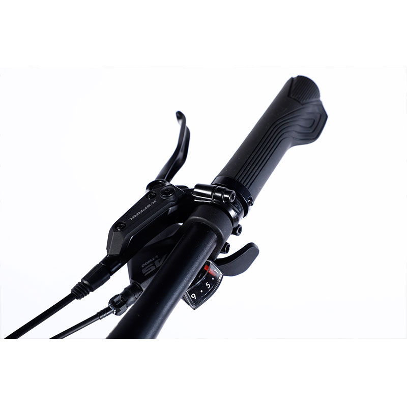 Double Wall Rim Hl Mountain Bike With Front And Rear Wheel Disc Brake