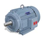 Alternating Current 450V Three Phase Electric Motor