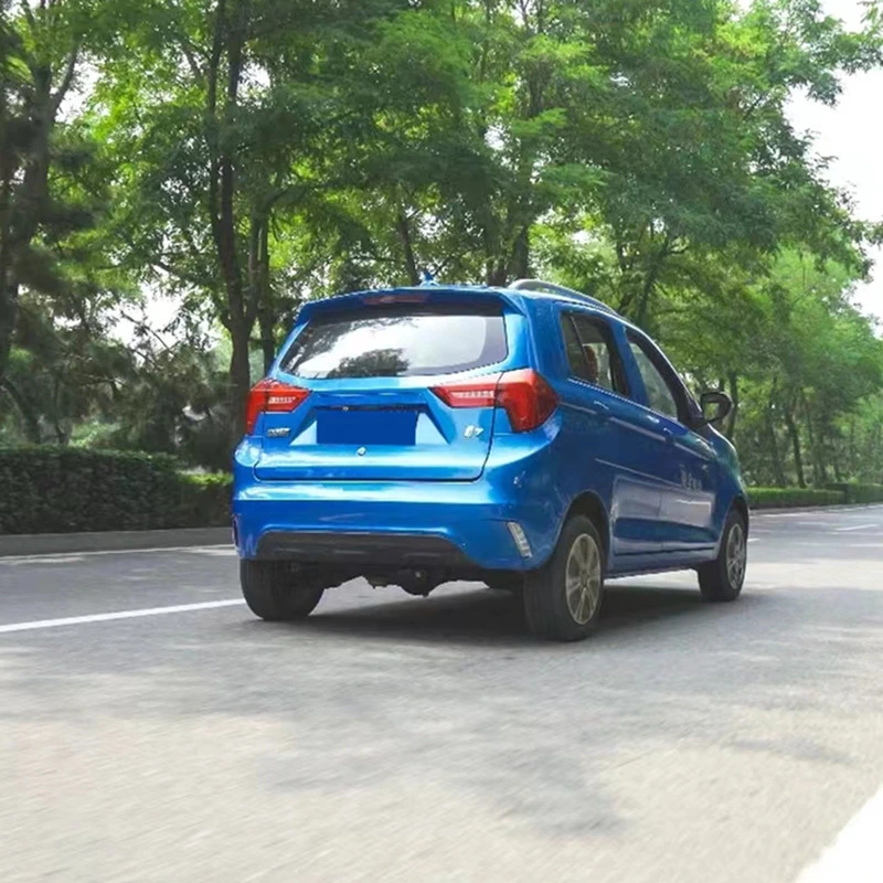 Raysince Factory Hot Sales Model Five Door Electric Car Adult Vehicle Four Seats Electric Vehicles for Sale