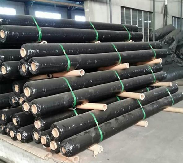 200gsm Polypropylene Split Film Woven Geotextile for Reinforcement