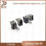 Common Rail Repair kit 7135-523 High Speed Steel 4pcs