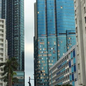 Quality Hidden Frame Glass Curtain Wall , Double Layer Curtain Wall for Office Building Decoration wholesale