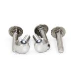 Stainless Steel 304 Neck Carriage Bolts DIN751 Standard And Customized