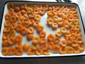 Quality Wholesale Canned Fresh Fruit Apricot Halves In Light Syrup wholesale