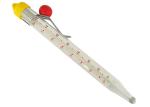 Transparent Glass Candy Deep Fry Thermometer 210mm Length Instant read