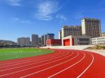 Weather Resistance EPDM Rubber Running Track Sports Floor 13mm Thickness