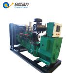 Natural gas generator LPG generator 100kw