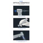 200000rpm Dental Handpiece Unit Red Ring Mini Head High Torque Electric 1/5