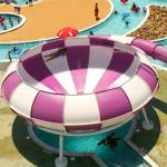 Water Park Equipment Behemoth Bowl Water Slide for Sale