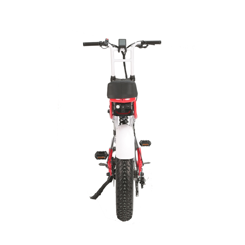 LCD Display Electric Retro Motorcycle with 750W Dual Motors and Long Range Capability