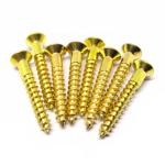 0.01mm Gold Plating Stainless Steel Screw Machine Parts