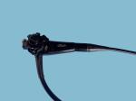 EG-200FP Flexible Gastroscope 110cm Working Length 137cm Total Length
