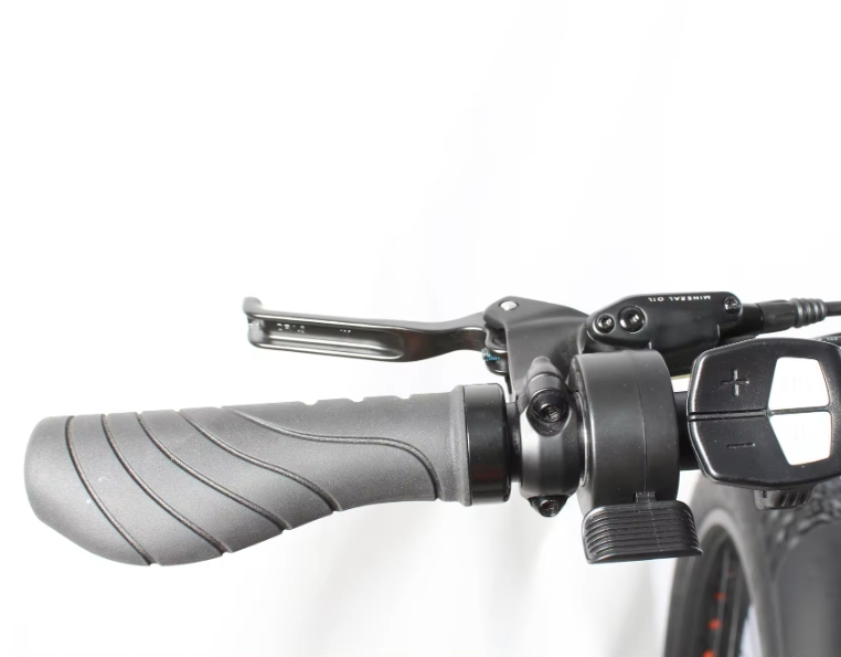 9 Speed Electric Bike 26"*4.0 Fat Tire Ebike Electric Mountain Bike 48V 750W 1000W Electric Bike For Adults
