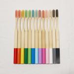 Portable Extra Soft Bristle Bamboo Toothbrush 100 Percent Biodegradable